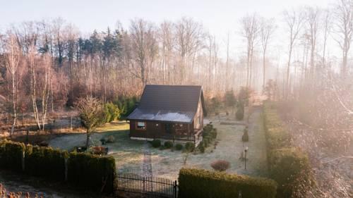 Sosnowy Domek otoczony lasem