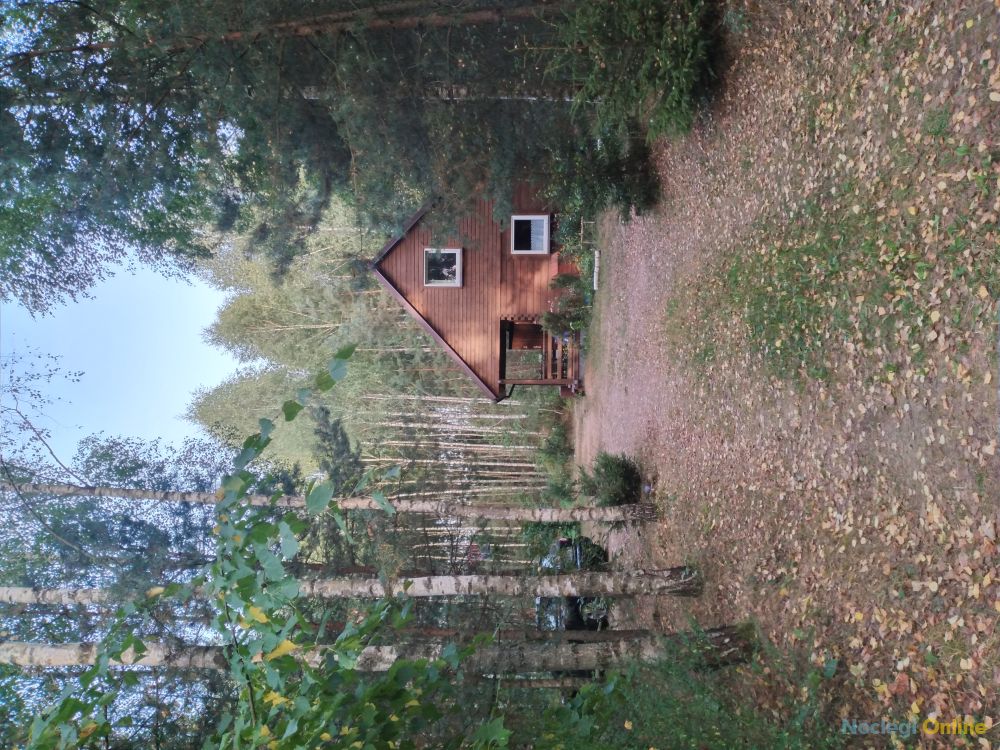 Domek na Mazurach niedaleko Szczytna