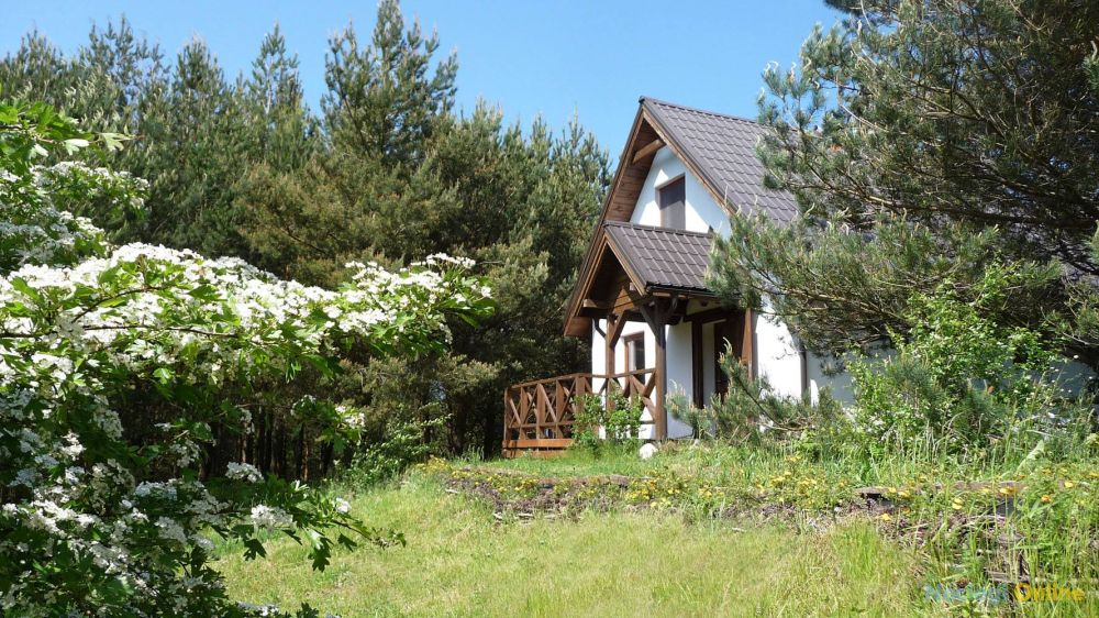Domek w Sosnowym Lesie - nad morzem k/Karwi, sauna, natura, konie
