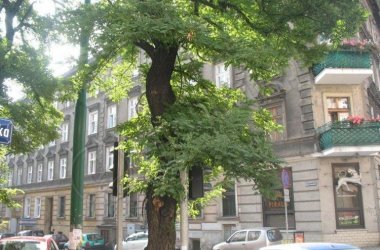 Apartament w Dobrym Miejscu