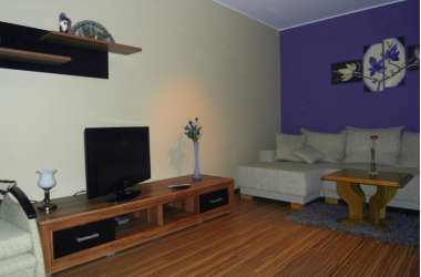 Apartament "SILVER"w centrum Poznania