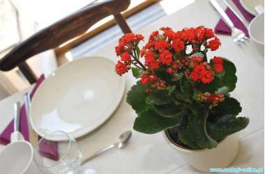 Mieszkanie Sopot Dolny