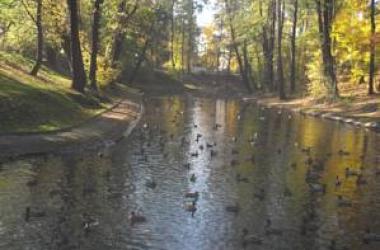 Apartament Osiedle Leśne