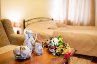 Apartment Krakivska 15