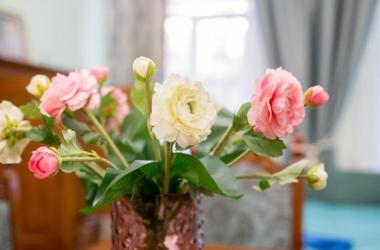 Aperments Lux on Leontovycha