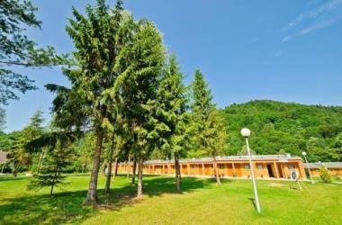 Ośrodek Wypoczynkowo - Szkoleniowy "Andrzejówka"