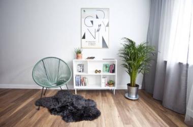 Scandic Studio