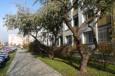 Afrykańska Apartament na Saskiej Kępie