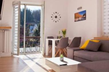 Apartament City Center Platinum - Luxury Standard