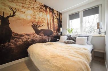 Tamka Unique Luxury Apartment