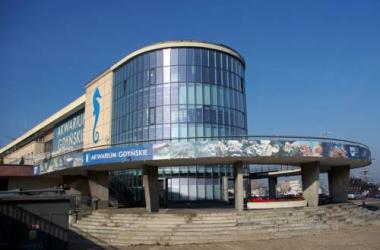 Apartament Warszawska