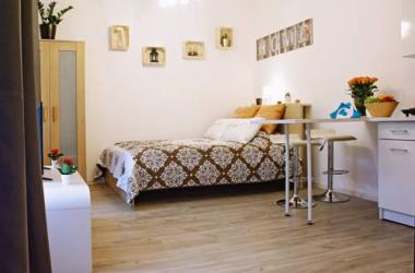 Studio Apartment Dluga 7