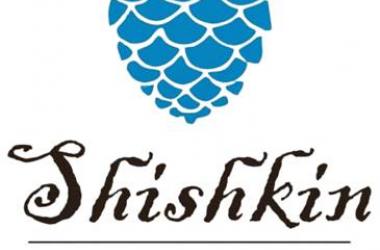 Shishkin Art Hostel