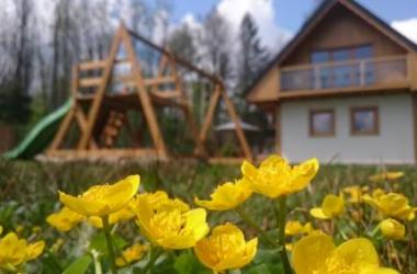 Tatra Green House
