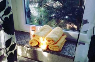 Pod ściętym orzechem