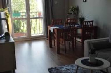 Apartament Gray